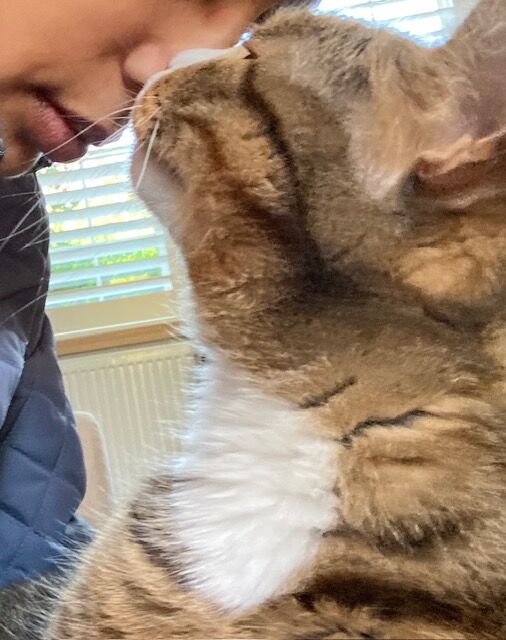 Pet care