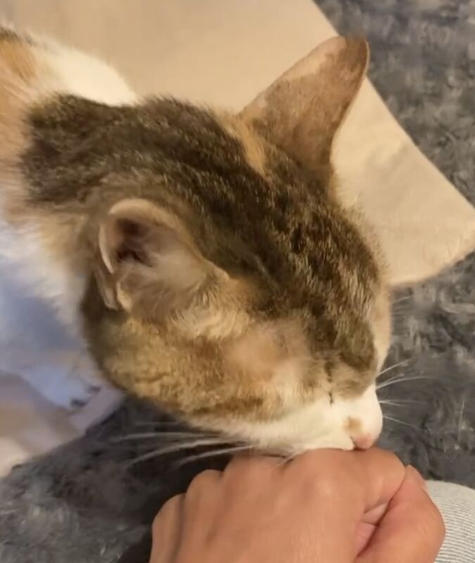 Happy pet client
