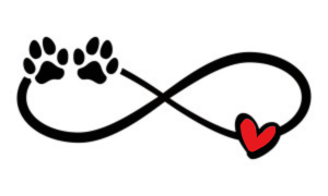 Care to Paws logo